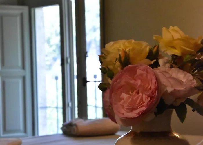 La Vecchia Scuola 3* Stifone